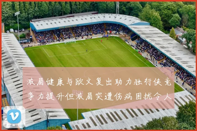 浓眉健康与欧文复出助力独行侠竞争力提升但浓眉突遭伤病困扰令人担忧