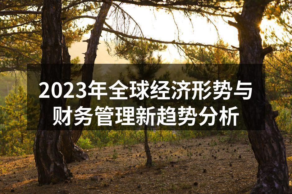 2023年全球经济形势与财务管理新趋势分