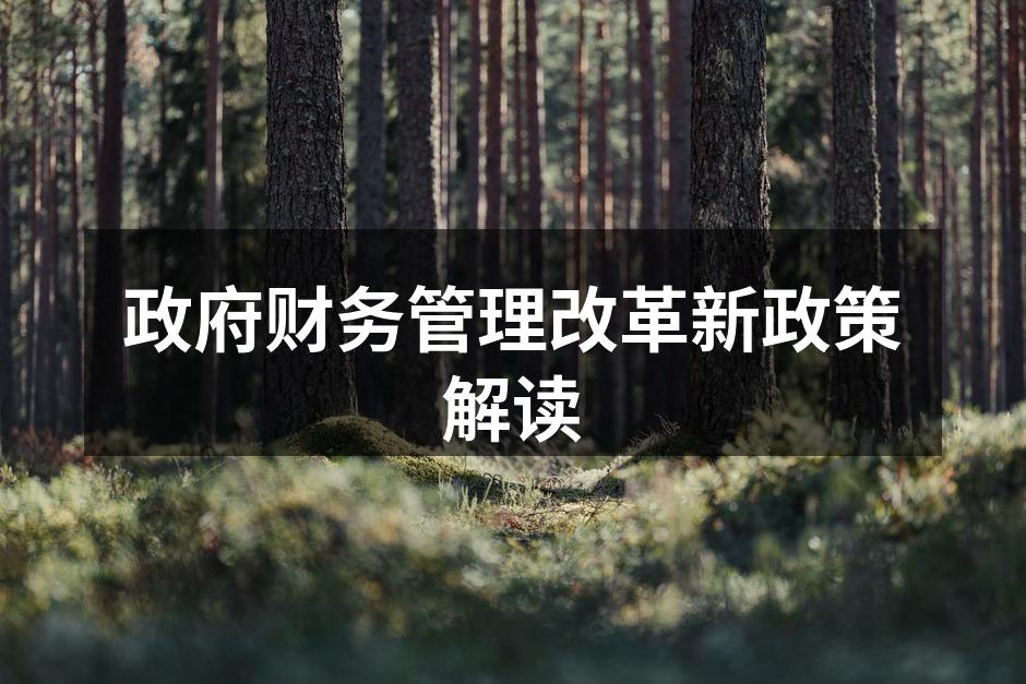 政府财务管理改革新政策解读