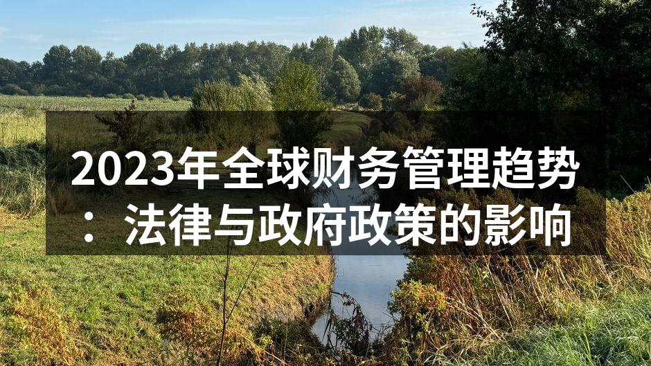 2023年全球财务管理趋势：法律与政府政